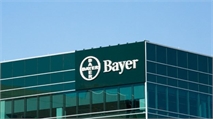 Bayer Caves to Investor Pressure, Picks Roche Vet as CEO