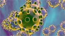 Coronavirus Update: Death Toll Increases, U.S. Government Takes Action