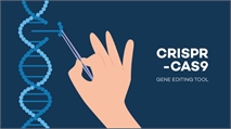 Complex CRISPR Patent Decision Benefits Broad Institute, Editas