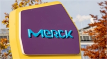 Merck’s BTK Inhibitor Evobrutinib Slapped with Partial Clinical Hold