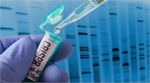 Researchers Develop CRISPR Mechanism to Edit Multiple DNA Sites at Once