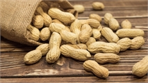 Aimmune Eyes 2020 Approval of Peanut Allergy Treatment