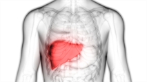 Researchers ID How Common Liver Cancer Mutation Changes Cells