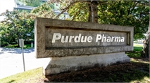 Purdue Pharma Reorganization Gains Support from 15 States