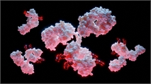 Biopharma Bets Big on Antibody-Drug Conjugates